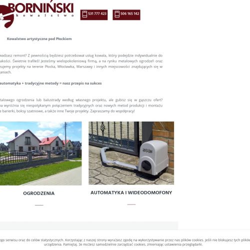 Ogrodzenia zewnętrzne stalowe Włocławek