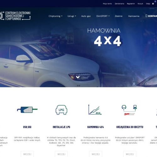 Usuwanie egr - Koszalin