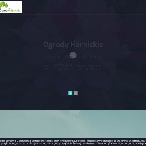 Poznań - krzewy liściaste szkółka