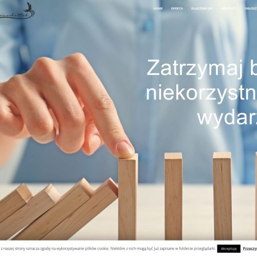 Upadłość spółki z oo łódź