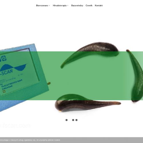 Pijawki w Wołominie