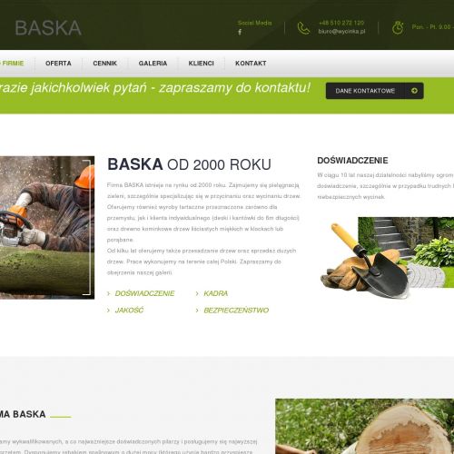 Pielęgnacja drzew śląsk w Katowicach