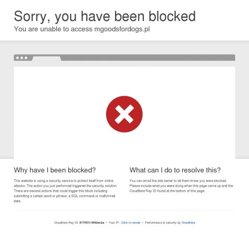 Skórzana obroża dla psa